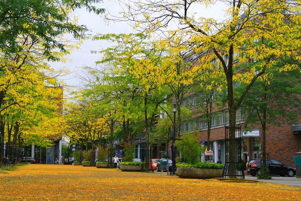 Essen City Suites Екстериор снимка